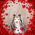 Kelly Clark's profile image