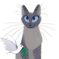 JoDee Mawson-Becker's profile image