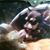 Kitzia Faye's profile image