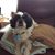 Tracy Price's profile image