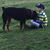 Christy Hester Murphy's profile image
