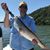 Bill Keyes's profile image