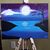 Shelley Renaud Talbot's profile image