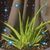 Vicki Radtke's profile image