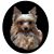 Robin Taylor's profile image