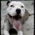 Eleazar Antonio's profile image