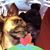 David White's profile image
