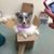 Kimberly A Willhoite's profile image