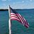 Kim Lucas's profile image