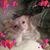 Lyndasue Heddy Dschaak's profile image