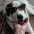 Karin Hillery's profile image