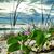 Donna Kohler Goodyear's profile image