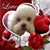 Nita Dietrich's profile image