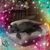 Linda Hallman's profile image