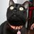 Jaime Eduardo Guerrero's profile image