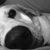 Cindy Doran's profile image