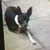 Dawn Allyn Shartzer's profile image