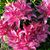 Ann Tiemeyer's profile image