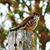 Puddin Allyn Bradt's profile image