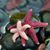 Laurie Garcia's profile image