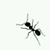 Randy Crash Parks's profile image