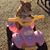 Jo Ann Carrizales's profile image