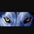 Frederic Mouysset's profile image