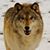 Gina Williams's profile image