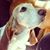 Kathy Wemesfelder's profile image