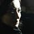 Hend Wahdan's profile image