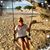 Sue Cinotti's profile image