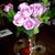 Rita Shriber's profile image