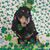 Karen K Parker's profile image
