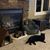 Catherine Cluney's profile image