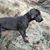 Jason L. Retherford's profile image
