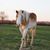 Bridget McHoney's profile image