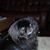 Kevin Eckert's profile image