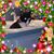 Linda Almachar's profile image