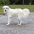Judy Humphrey's profile image