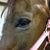 Michele Smith Johnson's profile image