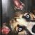 Brien Colgan's profile image
