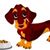 Sharon Gaston's profile image