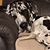 Paula Joe Cox Darnell's profile image