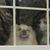 John Hansen's profile image