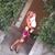 Giusi De Vivo's profile image