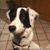 Denise Collier Williams's profile image