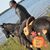 E.E, Wittliff's profile image