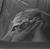 Brian Trevino's profile image