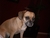 Jay Jay G.'s profile image