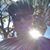 Robert Gillies's profile image